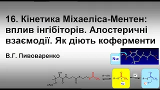 16. Інгібітори та активатори ферментів. Алостеричні взаємодії. Як діють коферменти