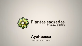 Ayahuasca, Power and Globalization | Plantas Sagradas en las Américas