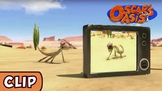 Oscar's Oasis - Picture Perfect | HQ | Funny Cartoons