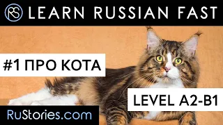 Learn Russian with short stories. Text + Audio + Eng.Subs.  Story #1. About the cat.  #learnrussian