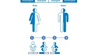 How are recessive disorders inherited? (English)