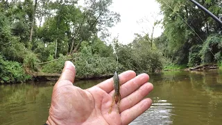 THIS Fishing Lure Is ABSOLUTE MADNESS!!! (I Caught LOADS Of Fish!)