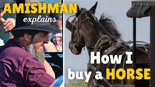 Amishman (Ben) explains: How I choose a horse ($$, wife horse vs. teenager horse)