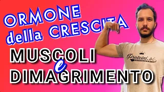 Bassa intensità per bruciare grasso, Alta intensità per il GH (+771%!) - ALLENATI AL MEGLIO!