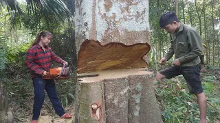 Amazing Big Chainsaw Cutting Tree Machines Skills - Dangerous Felling Skills - Transportation by car