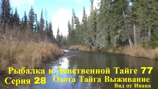 Рыбалка в Девственной Тайге 77 Серия 28 Тайга Охота Поход Выживание Лес Сибирь Медведь Полный Фильм