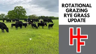 Rotational Grazing Rye Grass Update