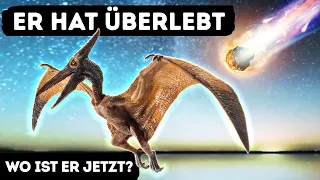 Asteroid löschte Dinosaurier aus, aber nicht die Vögel || Wie konnten Flugsaurier überleben?