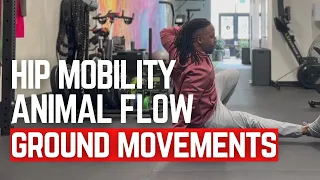 Hip Mobility Exercise with Animal Flow Side Kickthrough