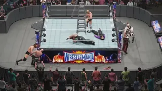 WWE WRESTLEMANIA 33: WWE Raw Tag Team Championship Ladder Match