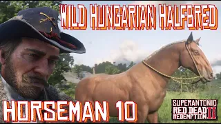A Wild Hungarian Halfbred Location For Horseman 10 With Arthur in Red Dead Redemption 2