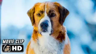THE CALL OF THE WILD Clip - New Lead Dog (2020) Harrison Ford