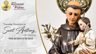 Tuesday Devotion to Saint Anthony of Padua | 7:30 AM Holy Mass | April 16, 2024