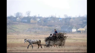 ПДР  Тести  7  Вимоги до осіб, які керують гужовим транспортом і погоничів тварин