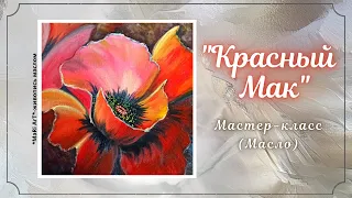 🎨"КРАСНЫЙ МАК"- МАСЛО/как нарисовать мак/живопись маслом #живопись #какрисоватьмак #oilpointing #oil