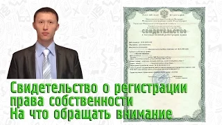 Свидетельство о регистрации права собственности На что обращать внимание Часть 1