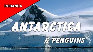 PARADISE HARBOUR, ANTARCTICA TRAVELOGUE: Amazing scenery, icebergs, penguins galore with commentary.