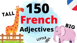 Learn French Adjectives |||  TOP 150 ADJECTIVES IN FRENCH