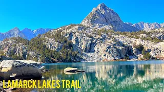 Escape the Ordinary: Discovering Inyo National Forest's Lamarck Lakes Trail