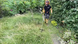 Extra THICK Overgrown Yard Clean Up | Returning To Customers Lawn After 6 Months Of NO MOW |