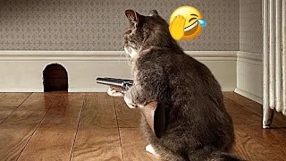 😍😘 So Funny! Funniest Cats and Dogs 2024 😍😅 Funny Animal Videos 2024 #15