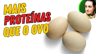 8 alimentos BARATOS com MAIS PROTEÍNAS que o OVO (+ Dicas de preparo e consumo)