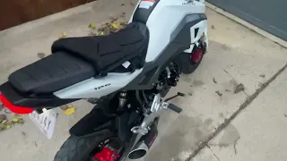 186cc big bore modded grom