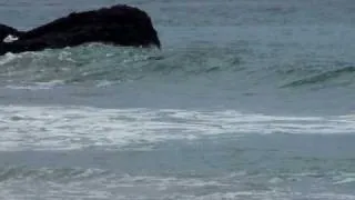 Malibu Beach Surf Zuma 1