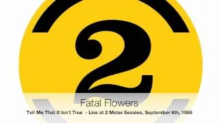 Fatal Flowers - Tell Me That It Isn't True (2 Meter Sessies, 6/9/1988)