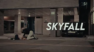 Skyfall - Korean Multifandom