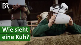 Mehr Tierwohl für Kühe: Mit Virtual Reality Brille die Bedürfnisse der Kuh erkennen | Unser Land