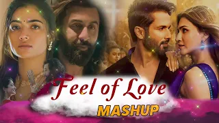 Feel Love Mashup | Love Mashup 2024 | Bollywood Hindi Love Mashup | Best of 2024