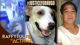 KUMUSTA NA BA ANG VIRAL NA ASONG KINAWAWA NG ISA RAW DOG LOVER?