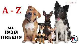 ALL DOG BREEDS IN THE WORLD ( A - Z ) with images "Types Of Dogs"