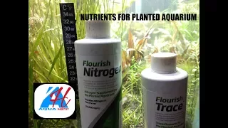 planted tank dosing