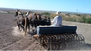 Horse Drawn Farming in Western Nebraska