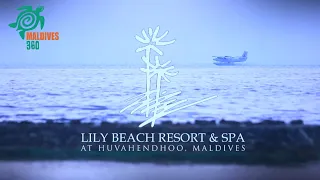 Lily Beach Resort and Spa