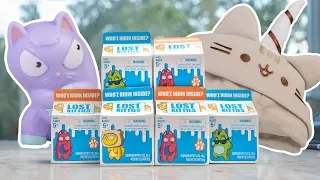 Pusheen Opening!  Lost Kitties Series 1 + 2 Milk Carton Box Blind Box Mini Figures