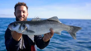 COD & BASS Fishing On A Honwave T35 (30+ Bass In ONE Session!)