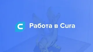 Как работать в Cura | Отрывок вебинара