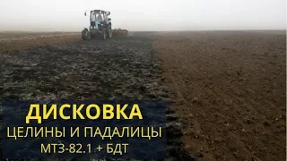 Дисковка целины и падалицы озимого ячменя