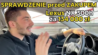 🔥Lexus NX 300h za 134 000 zł z BYDGOSZCZY❗Oględziny Przed Zakupem