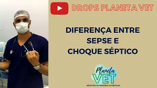 DROPS PLANETA VET: Diferença entre Sepse e Choque Séptico