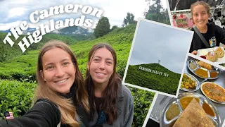 VISITING THE CAMERON HIGHLANDS, MALAYSIA⛰️| Trekking, tea plantations, scones & a LOT of Indian food