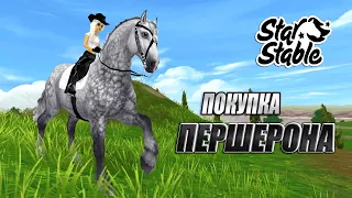 ШИКАРНЫЕ ПЕРШЕРОНЫ | ПОКУПКА И ОБЗОР | STAR STABLE ONLINE