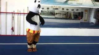 Wushu Kung Fu Panda