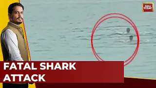 Chilling Video Of Man Mauled To Death | Shark Eats Man Alive In Egypt