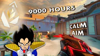 What Over 9000 Hours of Aim Training Looks Like | Valorant Calm Aim POV