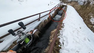 Tiny Creek Fishing For A Big Trout