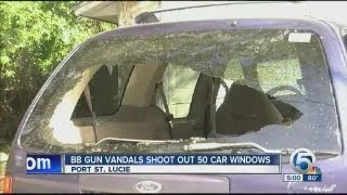 BB gun vandals shoot out 50 car windows